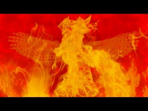 The Phoenix - Fall Out Boy - (fan lyric video)