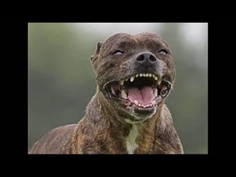 DJ Kennedy feat DJ Grave House Mix 2016