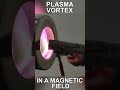 Double Plasma Vortex