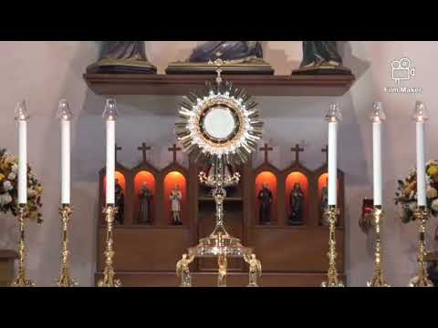 Ao Teu Encontro // Instituto Hesed