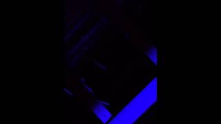 Trini Triggs cover horse to Mexico by Stephen Mall