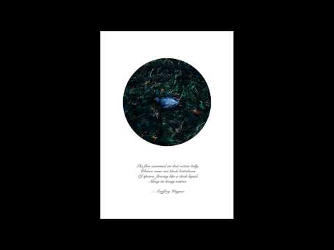 Beauty in death with poem