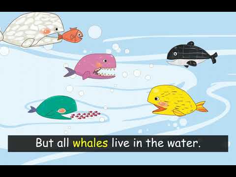 Smart Phonics 4 Unit 8 Story - th wh