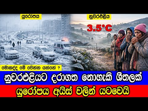 නුවරඑළියට තුහින හිම මල් වැටෙයි, වසර 17කට පසු අවම උෂ්ණත්වය අද.