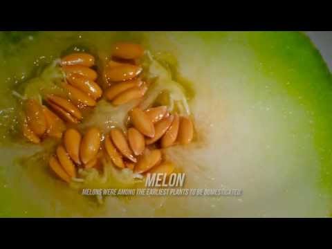 Slideshow | Apple Motion 5 Template