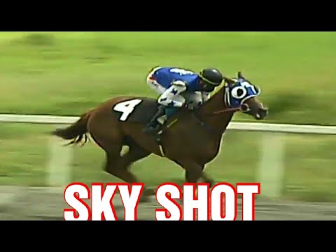 SKY SHOT vs  DEWEY BOULEVARD (barrier race) August 24, 2021 MMTCI