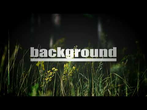 Martin Jensen, Vamero, Gibbs - What A Night (Extended Mix)