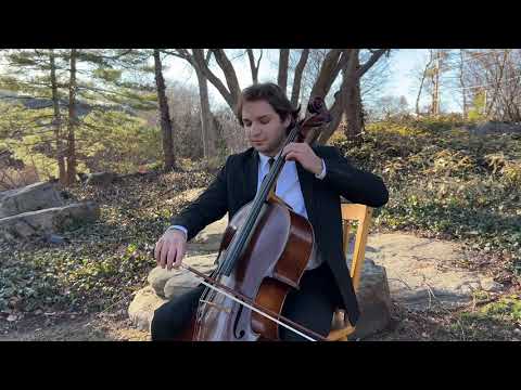 Promotional video thumbnail 1 for Diringer Cello