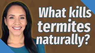 What kills termites naturally?