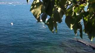 preview picture of video 'Garni La Scogliera Micotti Patrizia Cannero Riviera Verbania Lago Maggiore Italia'