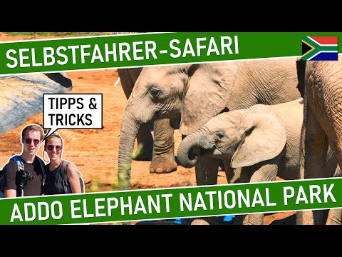 ADDO ELEPHANT NATIONAL PARK | SELBSTFAHRER-SAFARI in Südafrika | Safari Addo Elefanten Nationalpark