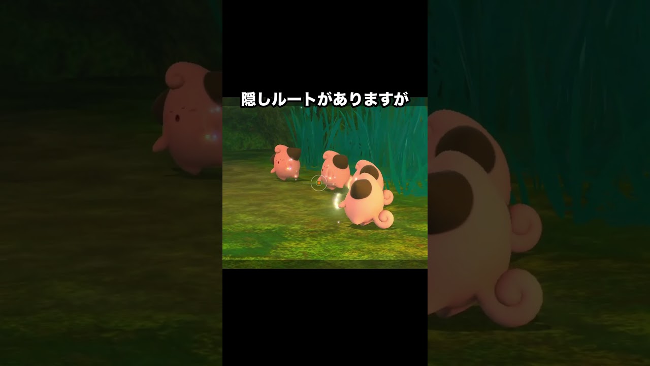【幻の可愛さ】ピィたちの秘密の修行⁉️ #ポケモン #newポケモンスナップ