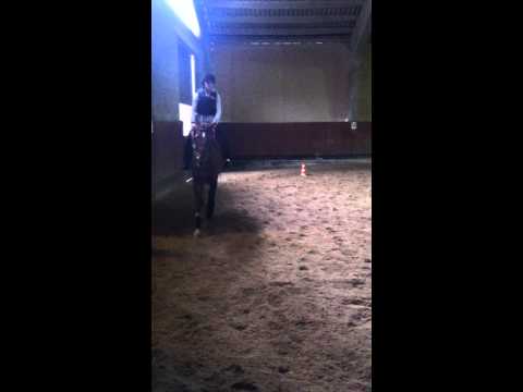 Trotto e circolo in A