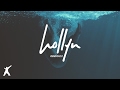 Hollyn - Obvious? (Official Audio Video)