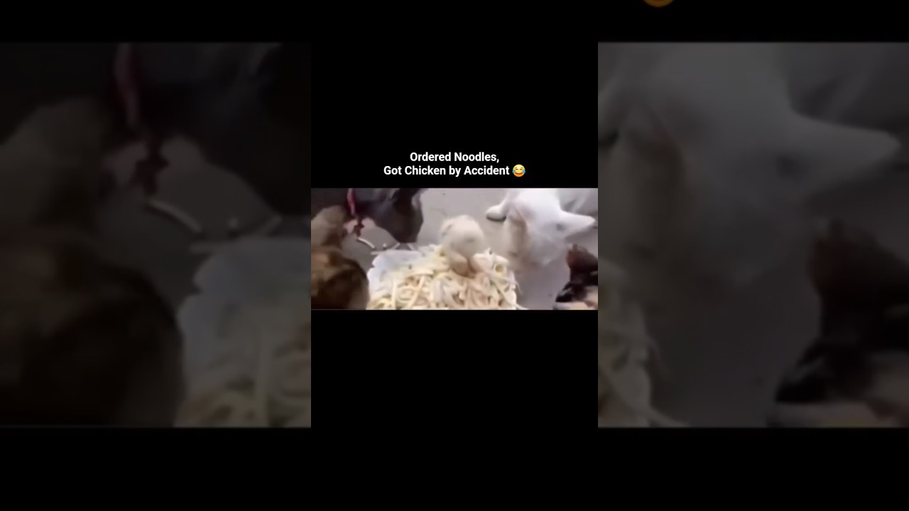 Bro doesn't like chicken noodles 🤭