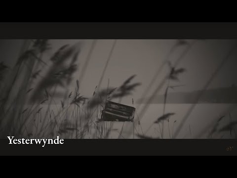 Yesterwynde