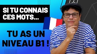 Si tu Connais ces Mots tu as un Niveau B1 📝