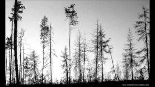 The Soil Bleeds Black - Earthe