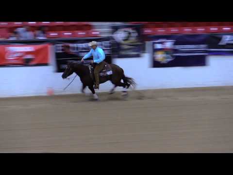 Gunners Tinseltown and Sam Schaffhauser 2013 High Roller Reining Classic