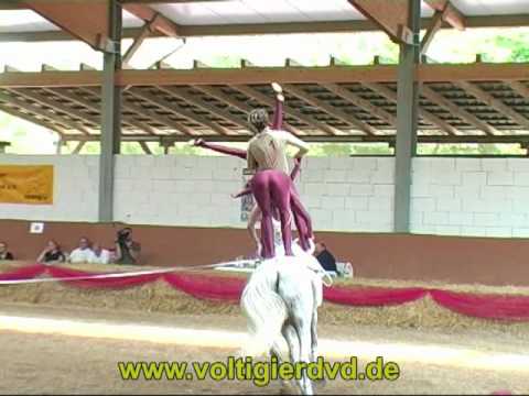 Süddeutsche Meisterschaft 2010 - Seniorteams 03 VFF Greifenstein - Team Calvaro