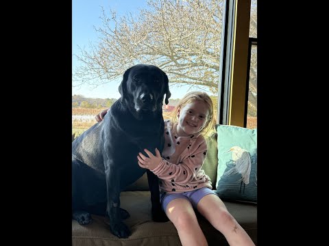 Don and Diane Shipley LIVE - January 26th at 1800 EST Thumbnail