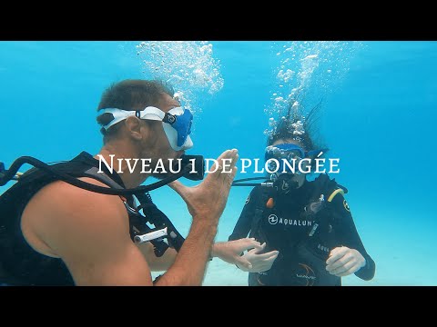 Plongée Niveau 1: cours théorique, exercices sous l'eau & démonstration