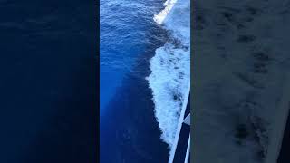 Waves on a cruise
