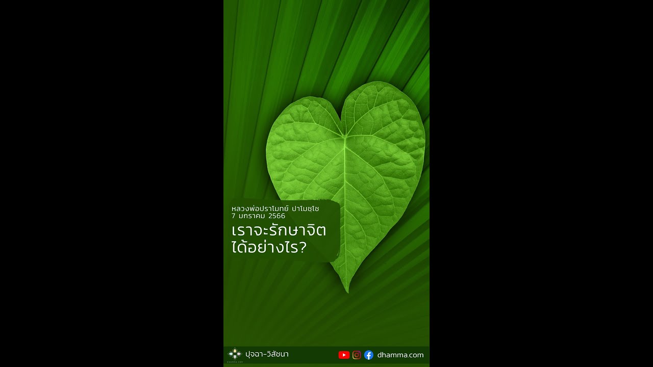 รูปภาพ ดาวโหลด Google Youtube SEO