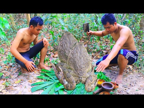 Awesome Cooking Frog Delicious Recipe - Yummy Cooking Frog Recipes