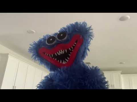 Zaid world ￼ season 2 episode 2￼￼￼ trailer ￼