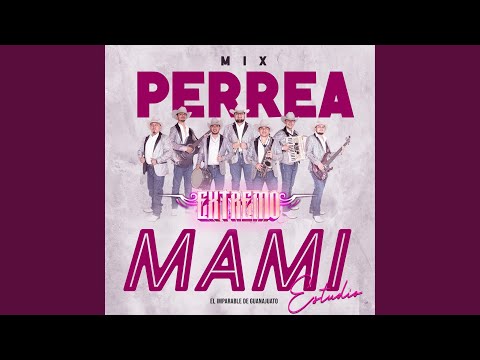 Perrea Mami Mix (Estudio)