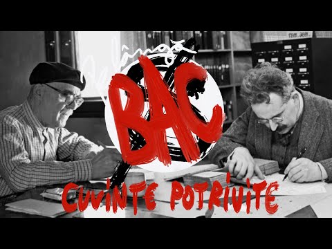 TESTAMENT și FLORI DE MUCIGAI de Tudor Arghezi (Pe Lângă Bac #2)