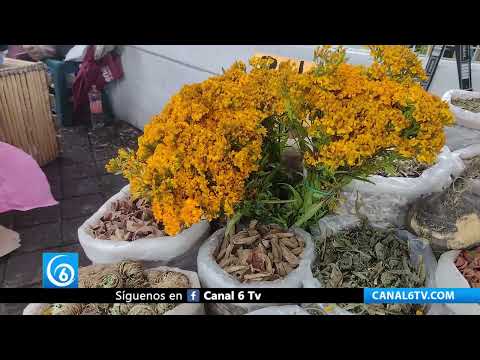 Video: La cruz de flor de pericón, símbolo de fe en el oriente del Edomex