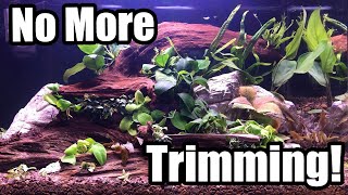How to Create a LOW Maintenance Aquascaped Aquarium.