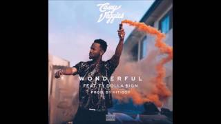 Casey Veggies ft. Ty Dolla $ign - Wonderful (Clean)