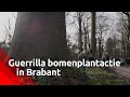 Op verschillende plaatsen in Brabant werden zaterdag door natuurliefhebbers uit protest ‘stiekem’...