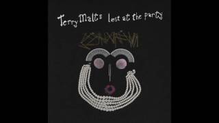 Terry Malts - Seen Everything