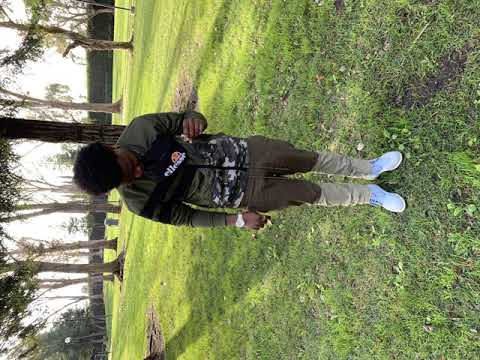 NAS EFFECT - Calisnupe