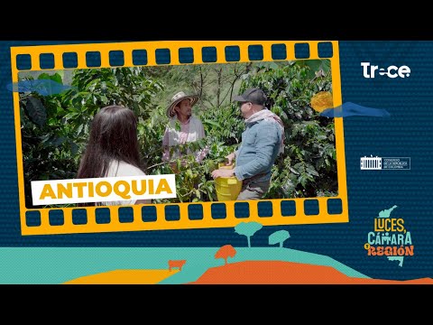 Queso, café y voces campesinas que transforman Antioquia | Luces, Cámara, Región