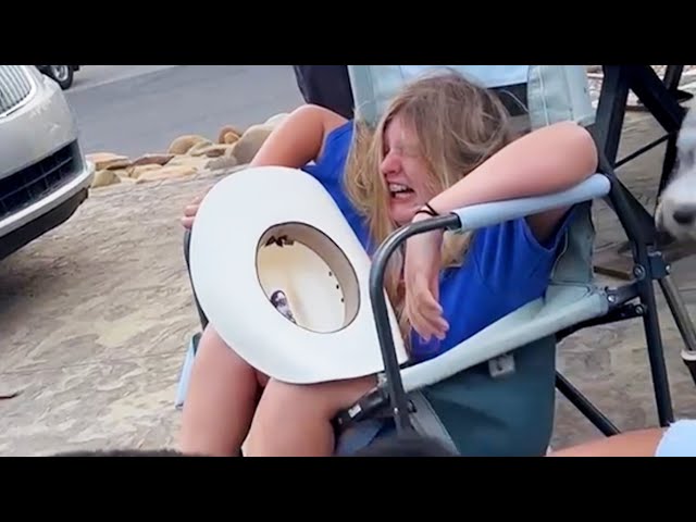yKYpYEtbf2g/default.jpg