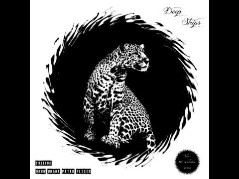 Mark Drake & Peter Pleser - Falling (Toni ter Wonder Remix)