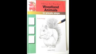 Full Art Book Flip Through: 'How to Draw Woodland Animals in Simple Steps' | Susie Hodge