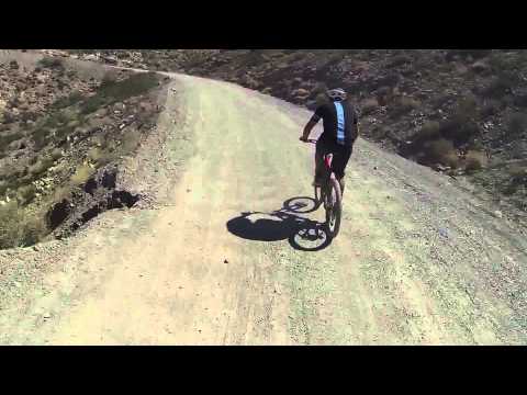 Kreidler Vitality Dice - zooming to the top