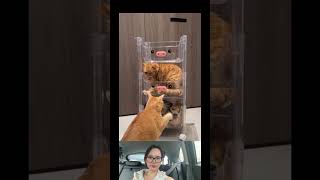 Download lagu Mỗi bạn mỗi tầng #music #love #song #coversong #singersongwriter #cover #funny mp3 Download lagu Mỗi bạn mỗi tầng #music #love #song #coversong #singersongwriter #cover #funny mp3
