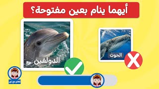 ألغاز للأطفال | اسئلة وأجوبة عن الحيوانات | تعلم مع نور