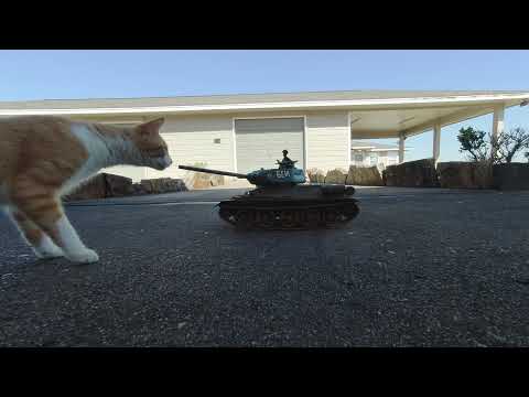T34 White Tiger Encounter