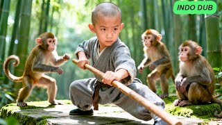 Download lagu Film Kungfu! Anak yatim kuasai dunia hanya dengan sebatang kayu setelah orang tuanya tiada! mp3