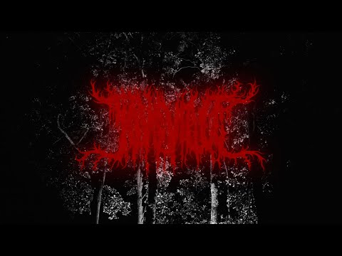 Ed Scissor + Lamplighter - Plenty, Time (OFFICIAL VIDEO)