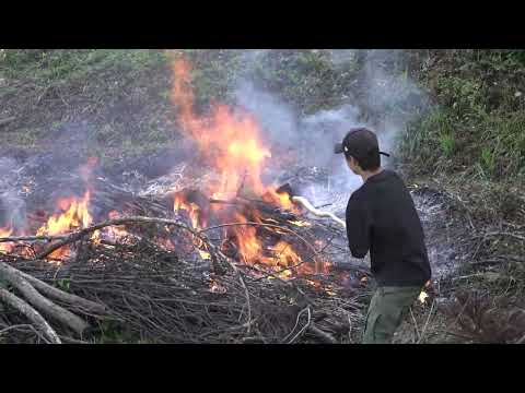 Yakihata - Protecting a Legacy