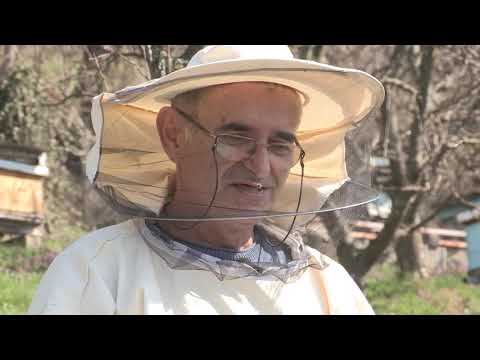 Boja meda ep. 112 28.04.2020. Stanje pred bagremovu pašu, Dan planete, ramovi i satne osnove